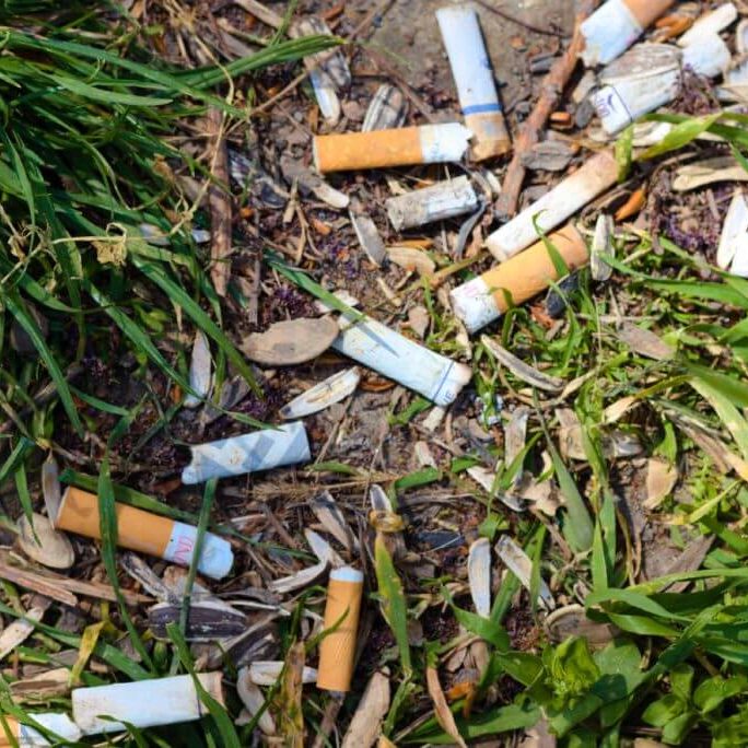 Cigarette litter on the ground