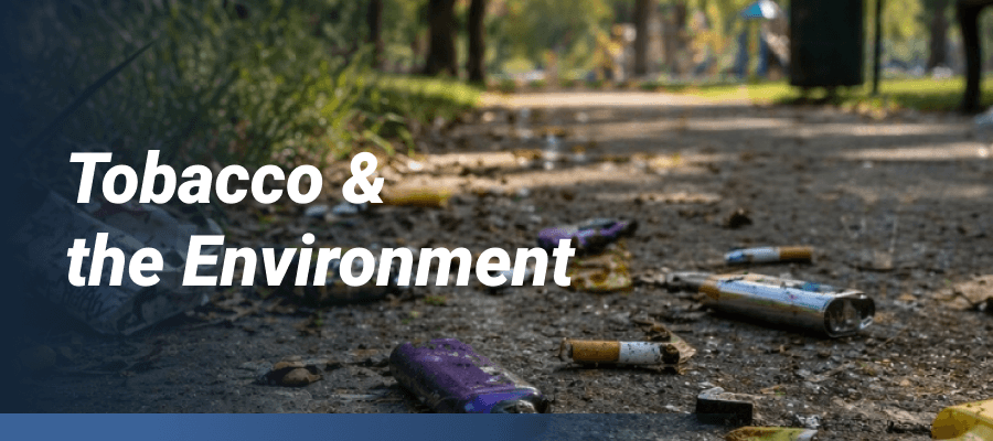 Litter in park